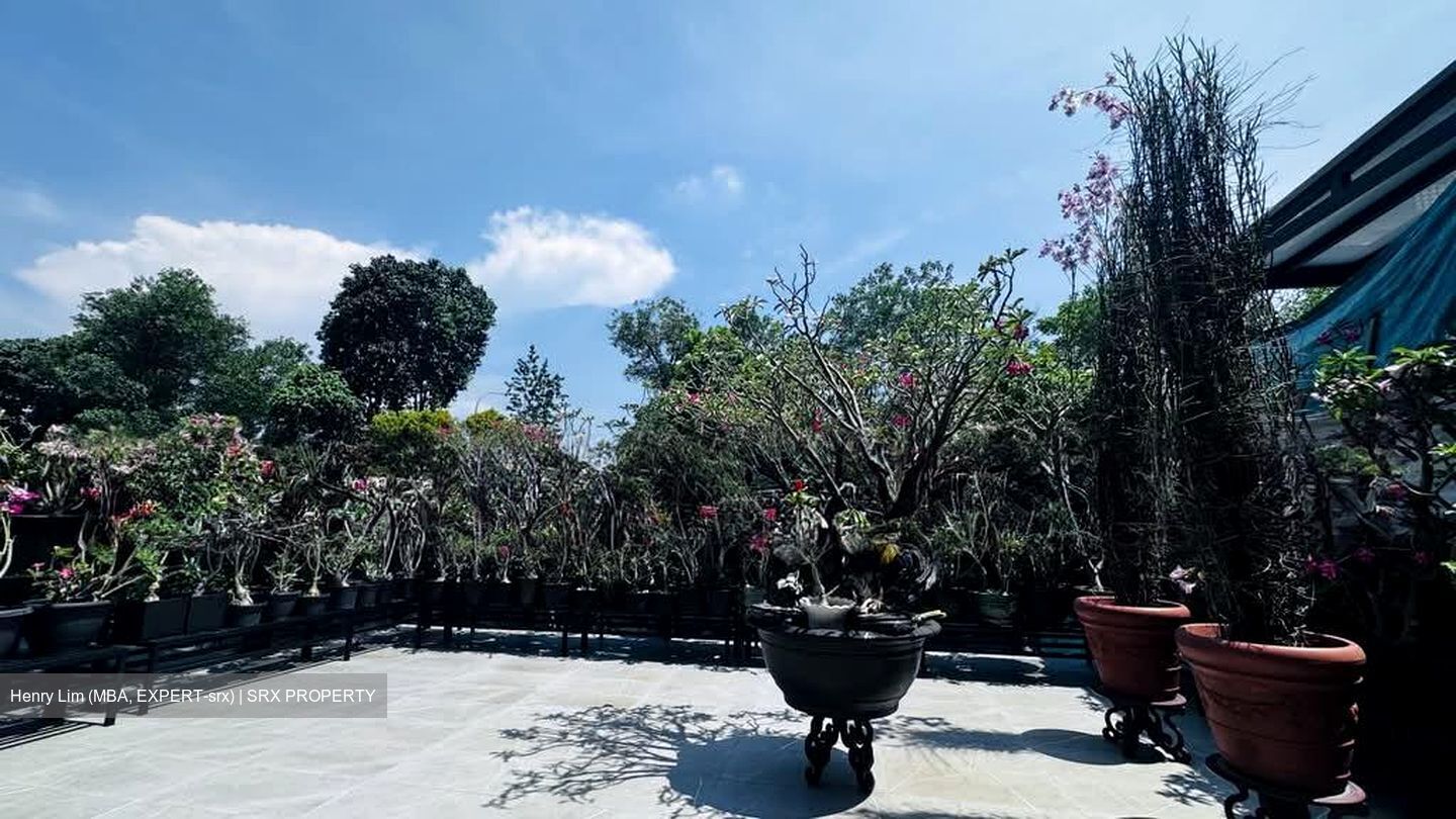 Villa Verde (D23), Terrace #546705911